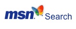 Msn search.jpg