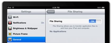 ipad file share.jpg