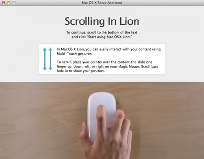scrolling_in_lion.jpg
